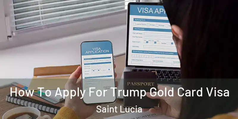  How To Apply For Trump Gold Card Visa Saint Lucia