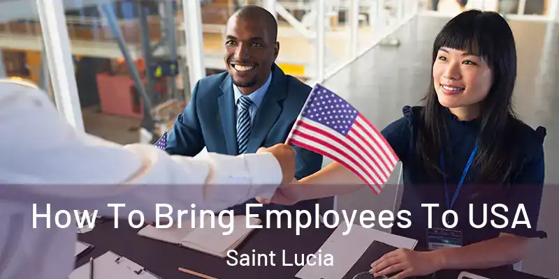  How To Bring Employees To USA Saint Lucia