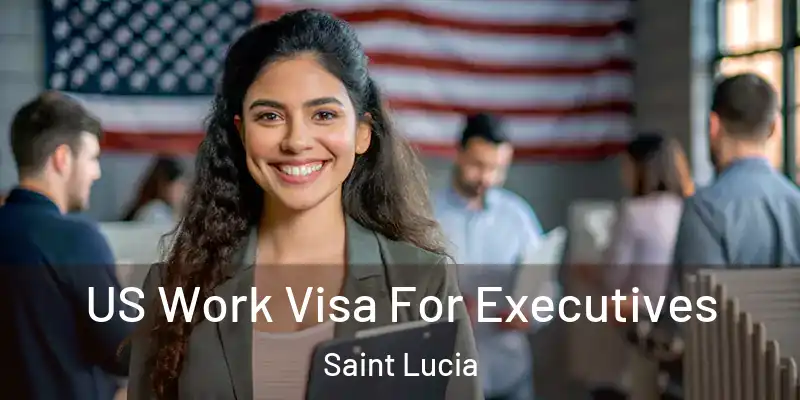  US Work Visa For Executives Saint Lucia