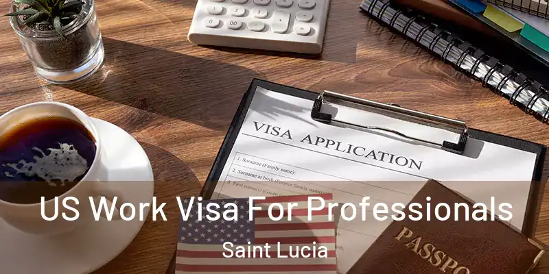  US Work Visa For Professionals Saint Lucia
